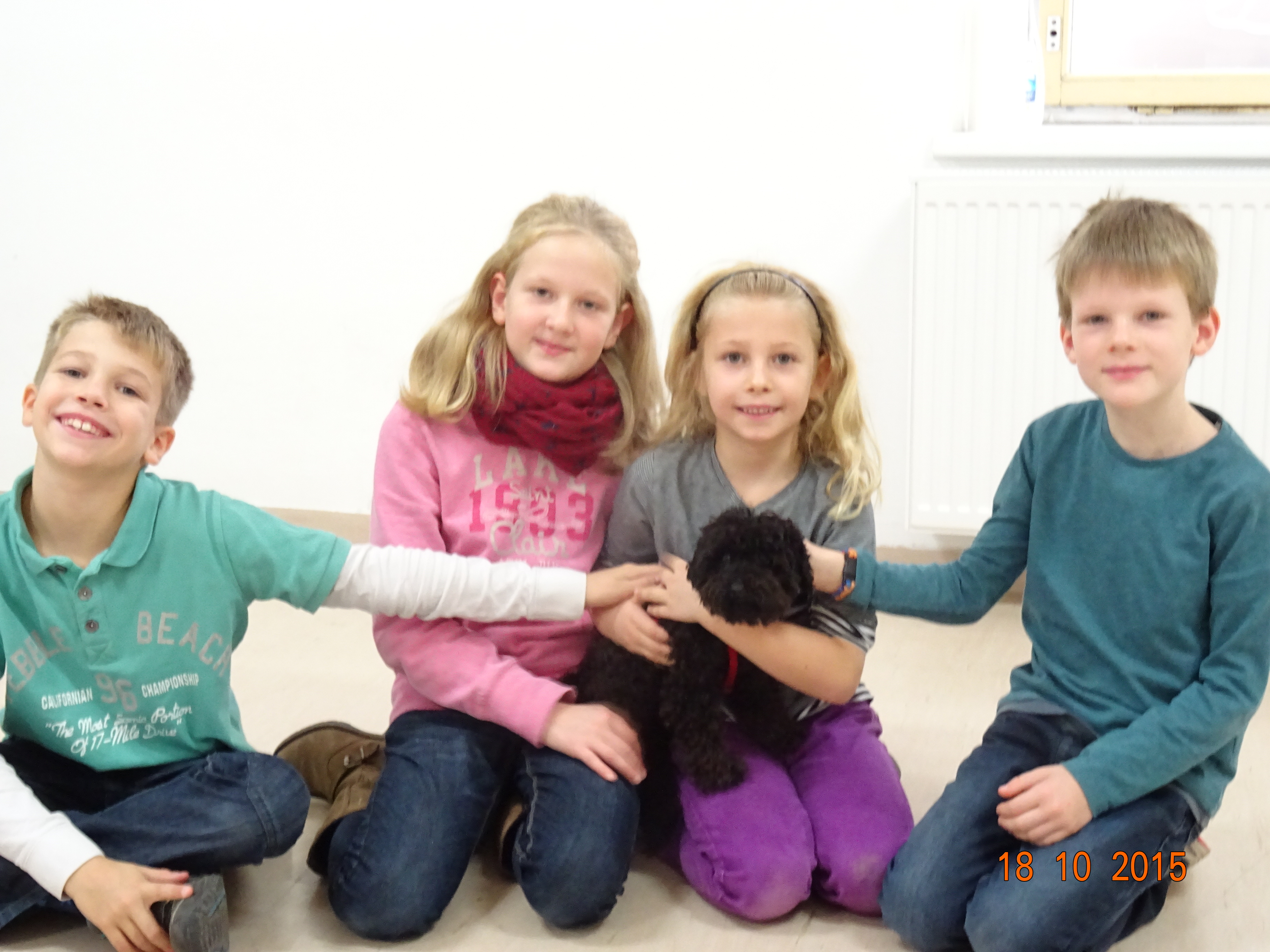 Tiergestützes Coaching für Kinder